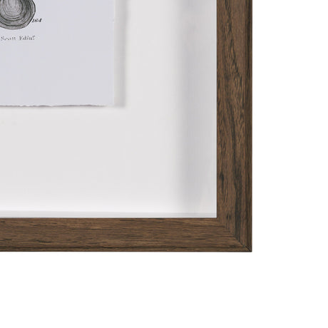 Sealife II by Oliver Goldsmith a Hand Embellished Framed Art Print Matted under Glass by Mercana at Eve Furniture