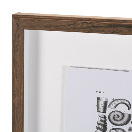 Sealife II by Oliver Goldsmith a Hand Embellished Framed Art Print Matted under Glass by Mercana at Eve Furniture