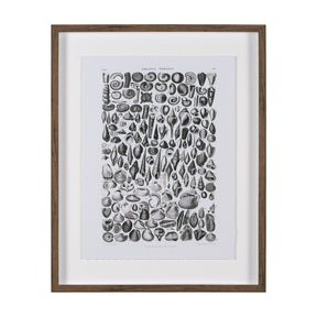 Sealife II by Oliver Goldsmith a Hand Embellished Framed Art Print Matted under Glass by Mercana at Eve Furniture
