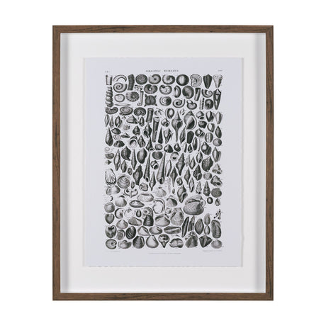 Sealife II by Oliver Goldsmith a Hand Embellished Framed Art Print Matted under Glass by Mercana at Eve Furniture