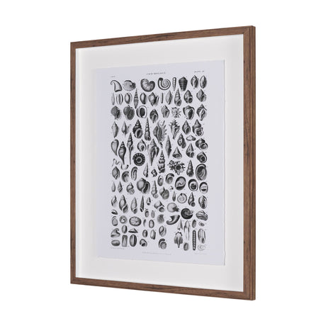 Sealife III by Oliver Goldsmith a Hand Embellished Framed Art Print Matted under Glass by Mercana at Eve Furniture