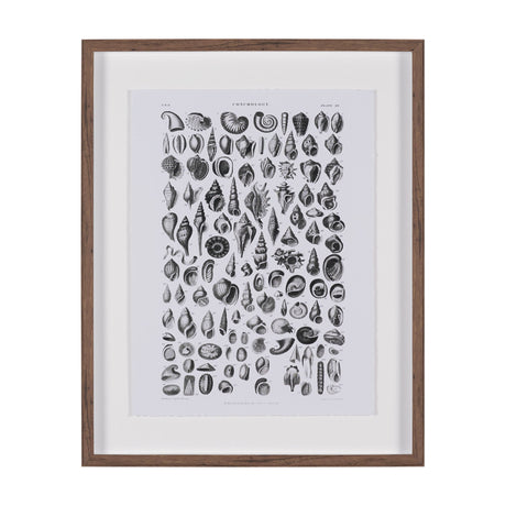 Sealife III by Oliver Goldsmith a Hand Embellished Framed Art Print Matted under Glass by Mercana at Eve Furniture