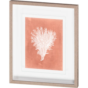 Sealife on Coral II by Vision Studio a Hand Embellished Textured Framed Art Print Matted under Glass by Mercana at Eve Furniture