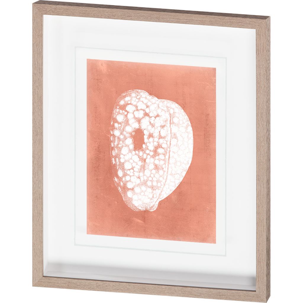 Sealife on Coral III by Vision Studio Hand Embellished Textured Framed Art Print Matted under Glass by Mercana at Eve Furniture