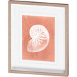 Sealife on Coral V by Vision Studio a Hand Embellished Textured Framed Art Print Matted under Glass by Mercana at Eve Furniture