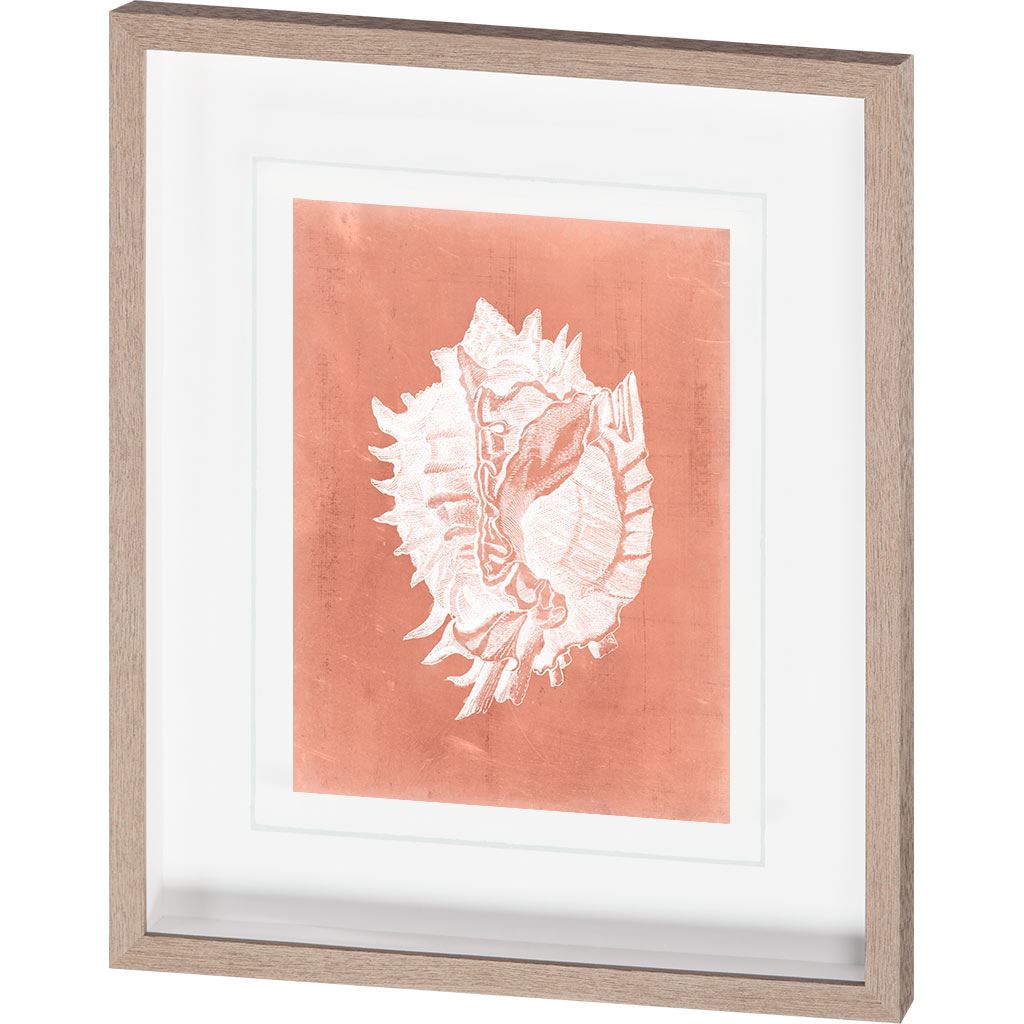 Sealife on Coral VI by Vision Studio a Hand Embellished Textured Framed Art Print Matted under Glass by Mercana at Eve Furniture