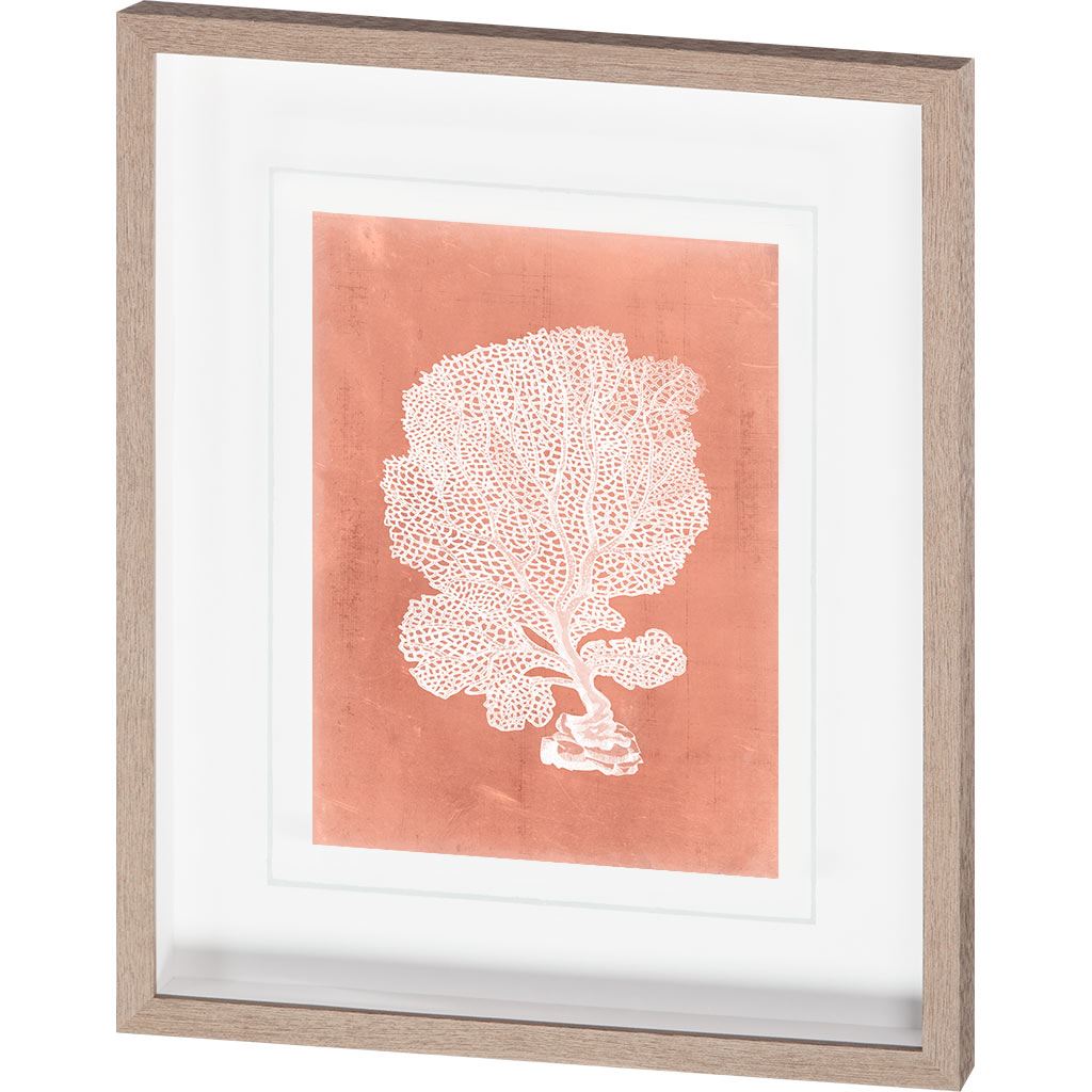 Sealife on Coral VIII by Vision Studio Hand Embellished Textured Framed Art Print Matted under Glass by Mercana at Eve Furniture