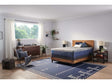 Sealy Carrington Chase Spring Midnight Cove Innerspring Firm Tight Top Mattress by Sealy at Eve Furniture