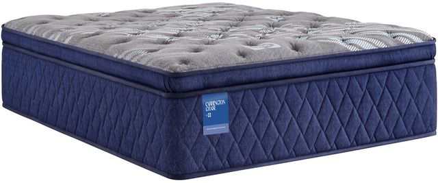 Sealy Carrington Chase Spring Midnight Cove Innerspring Soft Euro Pillow Top Mattress by Sealy at Eve Furniture