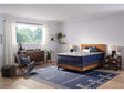 Sealy Carrington Chase Spring Midnight Cove Innerspring Soft Euro Pillow Top Mattress by Sealy at Eve Furniture