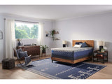 Sealy Carrington Chase Spring Midnight Cove Innerspring Soft Tight Top Mattress by Sealy at Eve Furniture