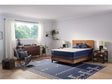 Sealy Carrington Chase Spring Murry Hill Innerspring Firm Tight Top Mattress by Sealy at Eve Furniture
