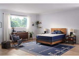 Sealy Carrington Chase Spring Murry Hill Innerspring Firm Tight Top Mattress by Sealy at Eve Furniture