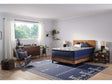 Sealy Carrington Chase Spring Pacific Rest Innerspring Soft Euro Pillow Top Mattress by Sealy at Eve Furniture