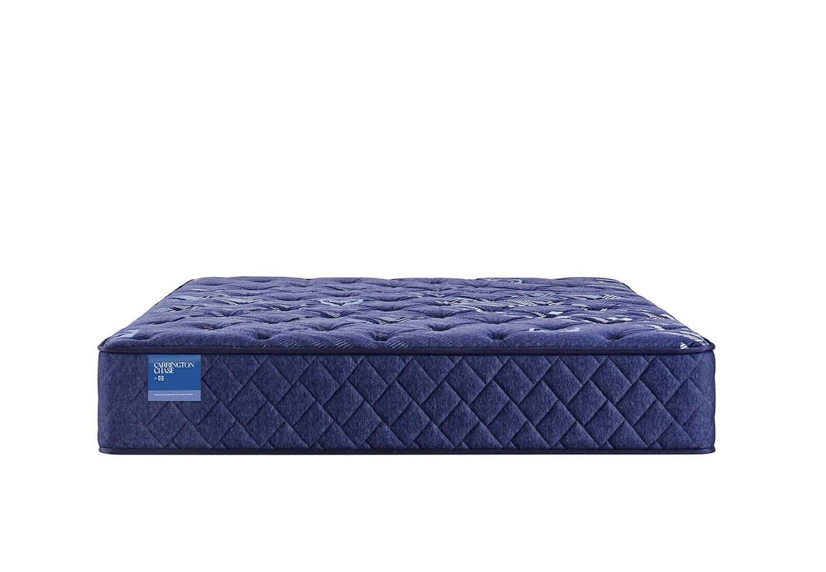 Sealy Carrington Chase Spring Travelers Rest Innerspring Extra Firm Tight Top Mattress by Sealy at Eve Furniture