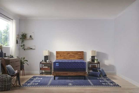Sealy Carrington Chase Spring Travelers Rest Innerspring Extra Firm Tight Top Mattress by Sealy at Eve Furniture