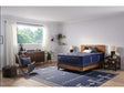 Sealy Carrington Chase Spring Travelers Rest Innerspring Extra Firm Tight Top Mattress by Sealy at Eve Furniture