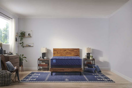 Sealy Carrington Chase Spring Travelers Rest Innerspring Medium Tight Top Mattress by Sealy at Eve Furniture