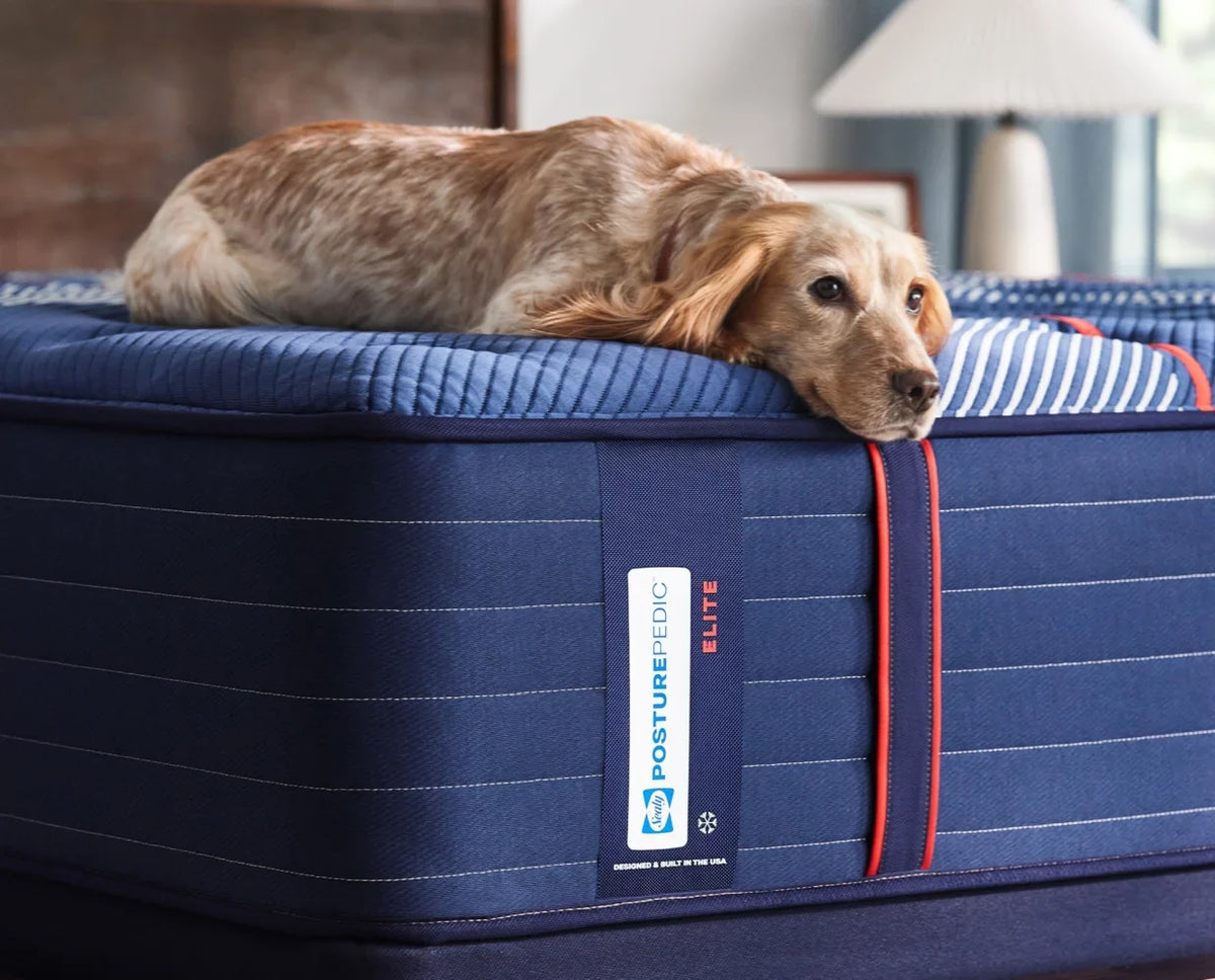 Sealy Posturepedic Elite Albany II Firm Mattress by Sealy at Eve Furniture