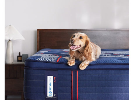Sealy Posturepedic Elite Albany II Pillow Top Soft Mattress by Sealy at Eve Furniture