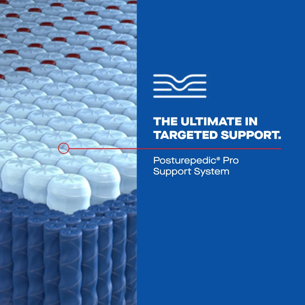Sealy Posturepedic Elite High Point II Hybrid Soft Mattress by Sealy at Eve Furniture