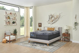 Sealy Posturepedic Plus Hybrid High Point Firm Mattress by Sealy at Eve Furniture