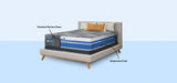 Sealy Posturepedic Plus Hybrid High Point Firm Mattress by Sealy at Eve Furniture