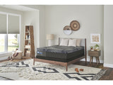 Sealy Posturepedic Plus Hybrid High Point Firm Mattress by Sealy at Eve Furniture