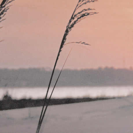 Seashore Sunset by Mercana Studio a Framed Photo Art Print Matted under Glass by Mercana at Eve Furniture