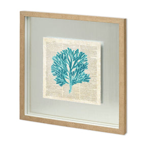 Seaweed Pages by Christopher James a Hand Embellished Textured Framed Art Print Matted under Glass by Mercana at Eve Furniture