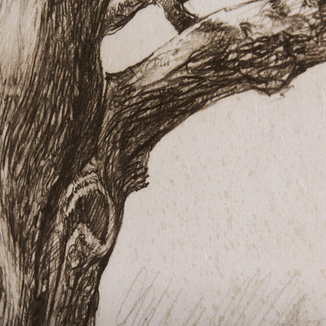 Secret Life of Tree by Mercana Studio a Hand Embellished Textured Canvas by Mercana at Eve Furniture