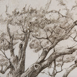 Secret Life of Tree by Mercana Studio Hand Embellished Textured Framed Art Print Matted under Glass by Mercana at Eve Furniture