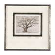 Secret Life of Tree by Mercana Studio Hand Embellished Textured Framed Art Print Matted under Glass by Mercana at Eve Furniture