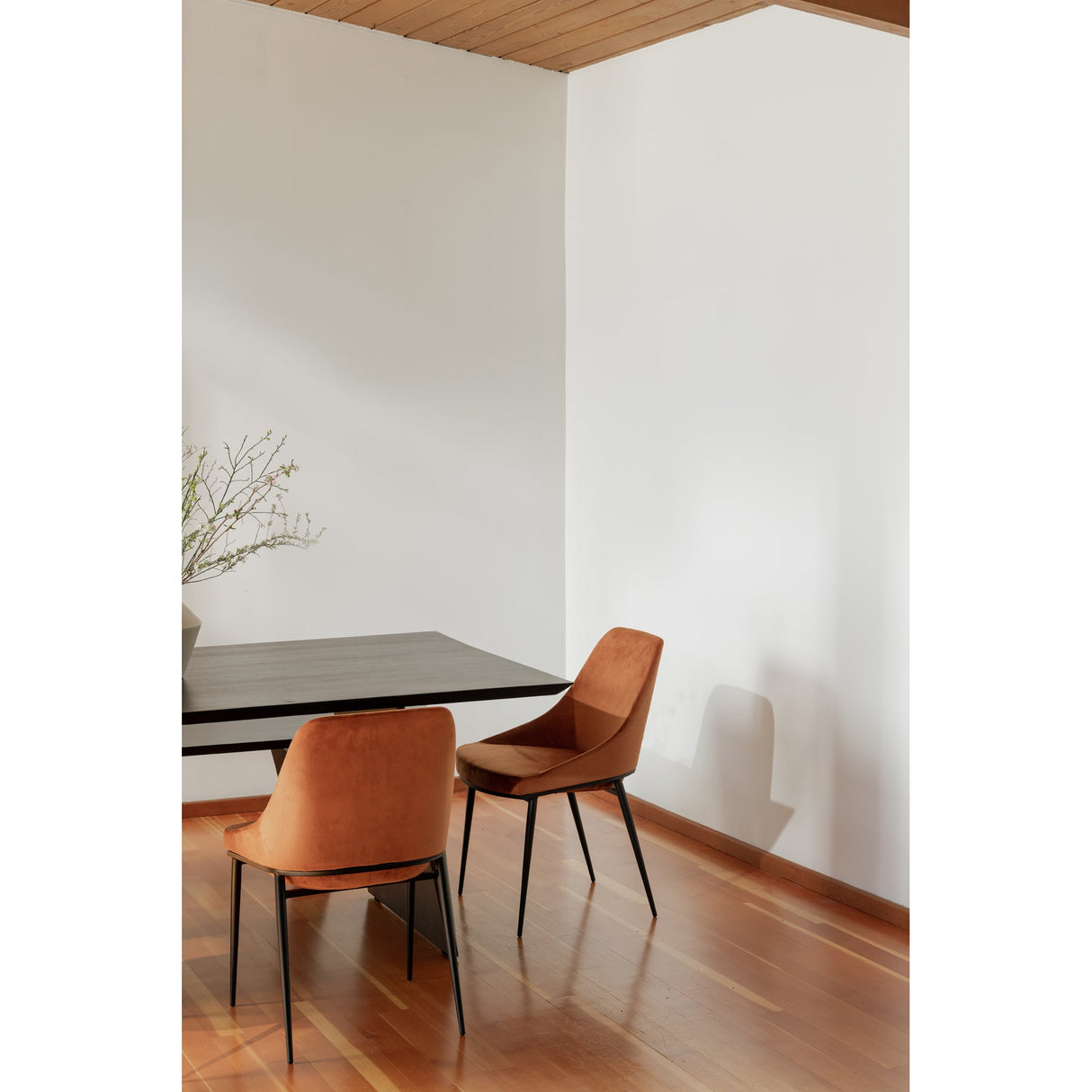 Sedona Amber Dining Chair (Set of 2) by MOES at Eve Furniture