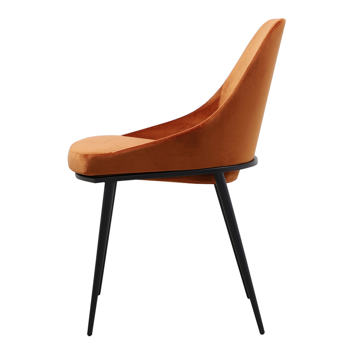 Sedona Amber Dining Chair (Set of 2) by MOES at Eve Furniture
