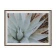 Sedona by Kelly Frere Hand-Embellished FramedPhoto Print Matted under Glass by Mercana at Eve Furniture