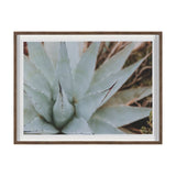 Sedona by Kelly Frere Hand-Embellished FramedPhoto Print Matted under Glass by Mercana at Eve Furniture