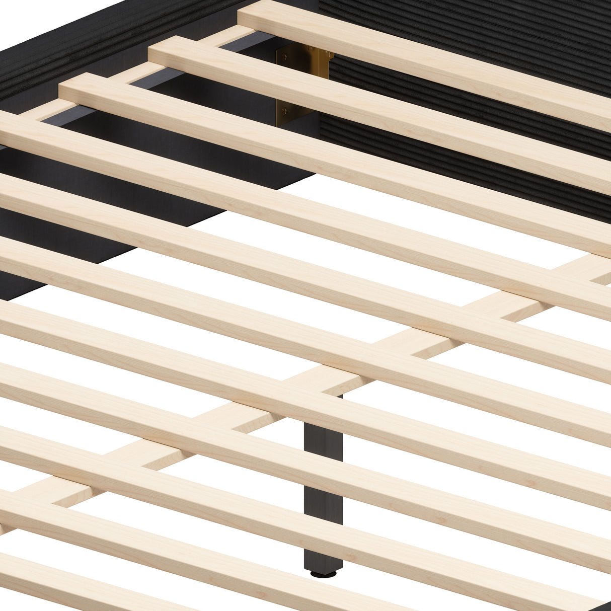 Sele Black Queen Bed by Zuomod at Eve Furniture