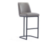 Serena Barstool in Grey by Manhattan Comfort at Eve Furniture