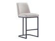 Serena Counter Stool in Light Grey by Manhattan Comfort at Eve Furniture