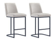 Serena Counter Stool in Light Grey (set of 2) by Manhattan Comfort at Eve Furniture