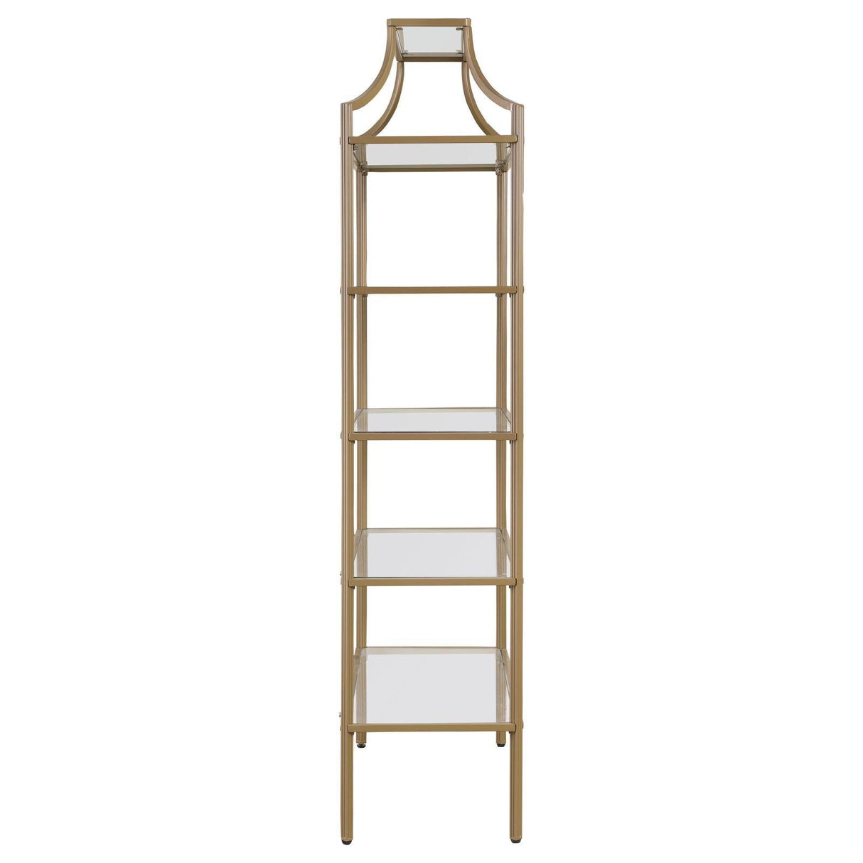 Serena Matte Gold 5-Tier Tempered Glass Shelves Bookcase by Coaster at Eve Furniture