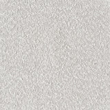 Serreta Ivory Boucle Upholstered Armless Accent Chair with Clear Acrylic Frame by Coaster at Eve Furniture