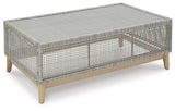 Seton Creek Gray Outdoor Coffee Table by Ashley at Eve Furniture