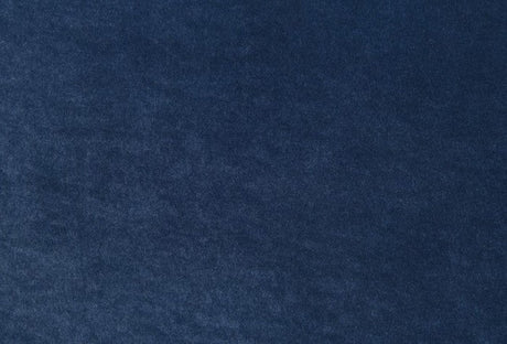 Severo Royal Blue Upholstery Living Room Set by Furniture of America at Eve Furniture