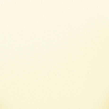 Sezanne Cream Vegan Leather and 2-Tone Jacquard Dining Chair by TOV Furniture at Eve Furniture