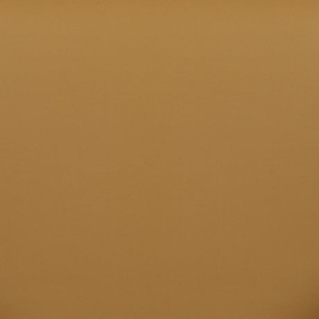 Sezanne Vegan Leather Dining Chair by TOV Furniture at Eve Furniture