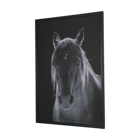 Shadowborn Majesty by Frank Ma Framed Photo Print Matted under Glass by Mercana at Eve Furniture