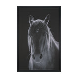 Shadowborn Majesty by Frank Ma Framed Photo Print Matted under Glass by Mercana at Eve Furniture