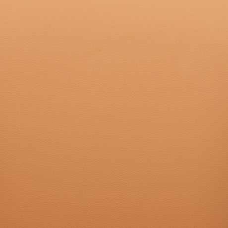 Shaili Brown Counter Stool by Zuomod at Eve Furniture